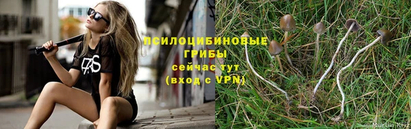 бутират Арсеньев