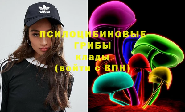крисы Аркадак