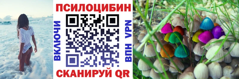 Галлюциногенные грибы прущие грибы  цены   Североморск 